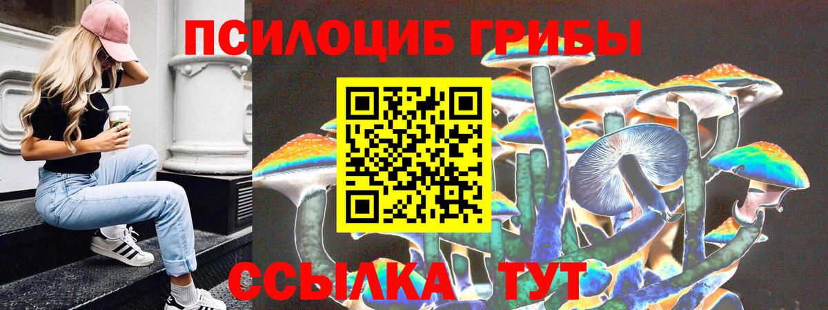 Псилоцибиновые грибы Cubensis  Вход с VPN  Тайшет  Псилоцибиновые грибы Psilocybe 